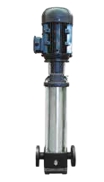 Jockey pump